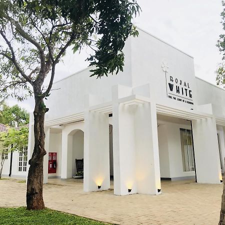 Royal White Tourist Rest Hotel Anuradhapura Buitenkant foto