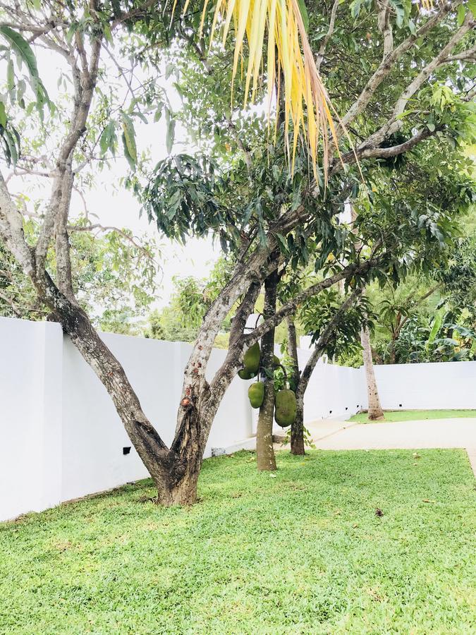 Royal White Tourist Rest Hotel Anuradhapura Buitenkant foto