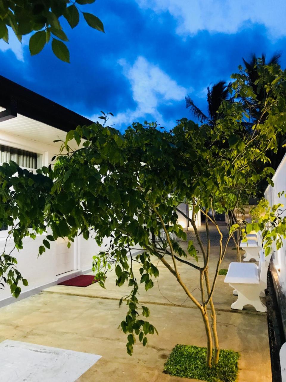 Royal White Tourist Rest Hotel Anuradhapura Buitenkant foto