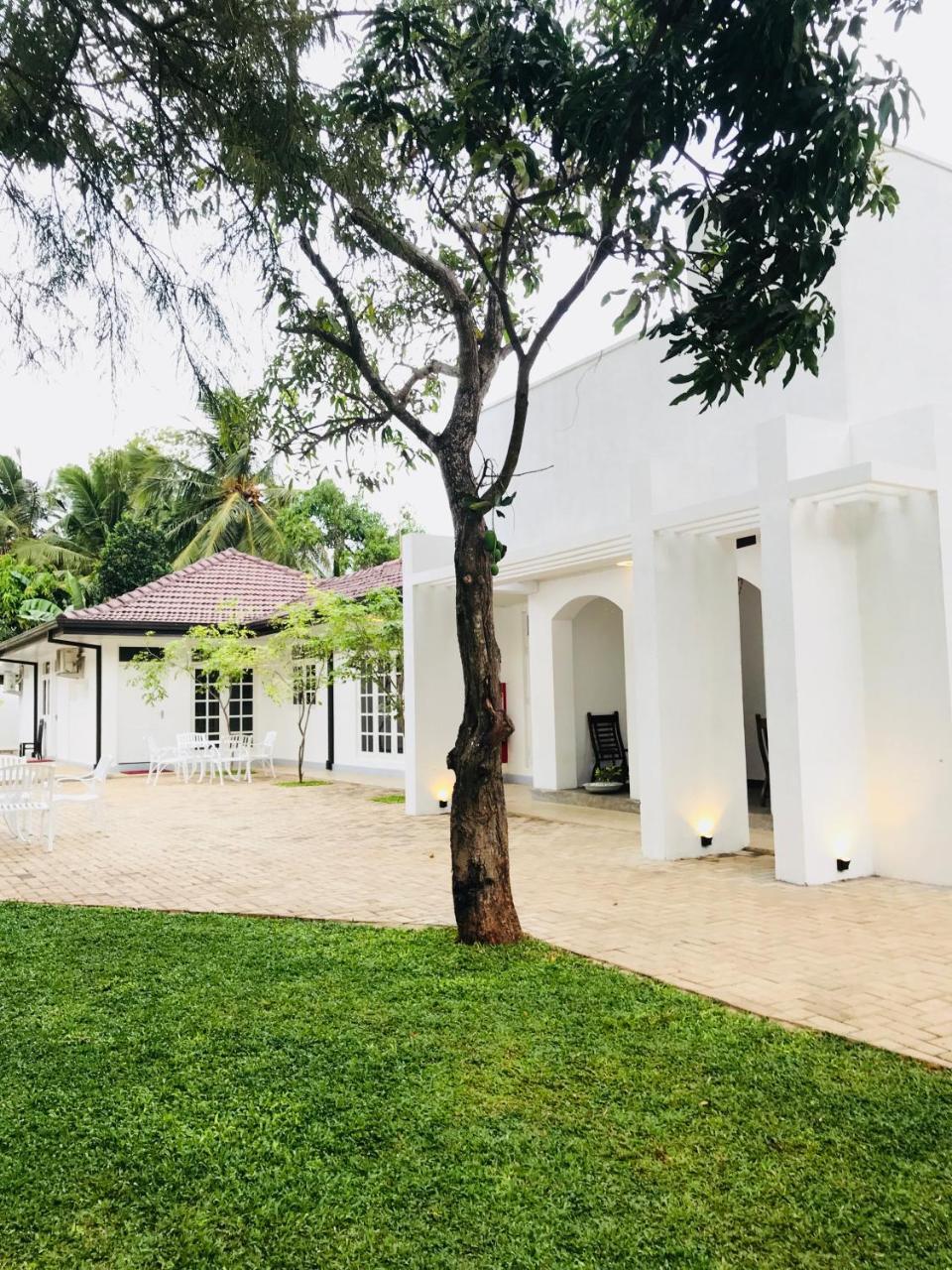 Royal White Tourist Rest Hotel Anuradhapura Buitenkant foto