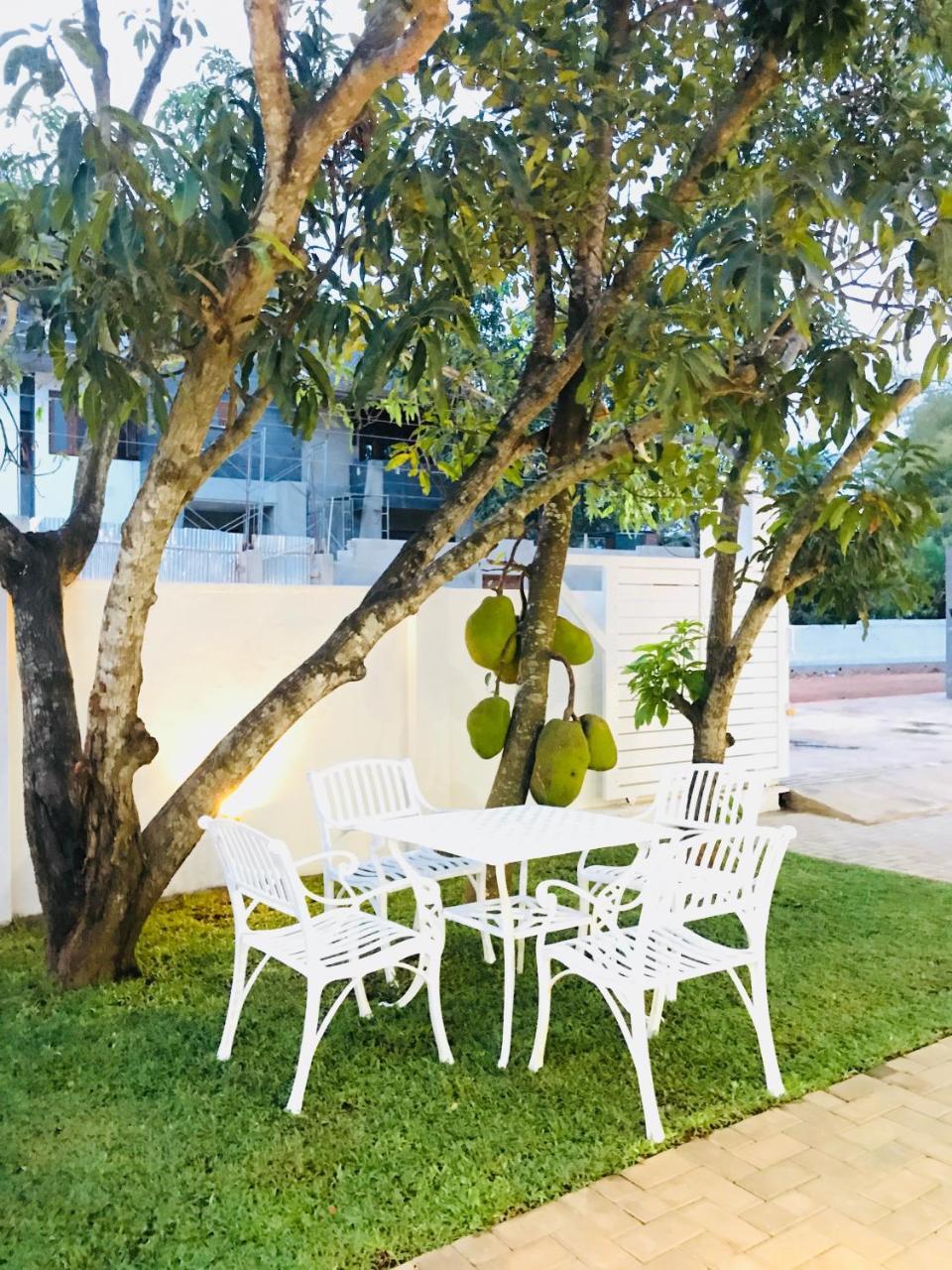 Royal White Tourist Rest Hotel Anuradhapura Buitenkant foto