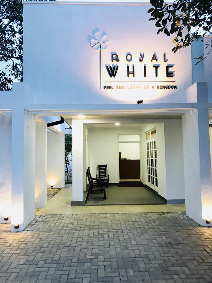 Royal White Tourist Rest Hotel Anuradhapura Buitenkant foto