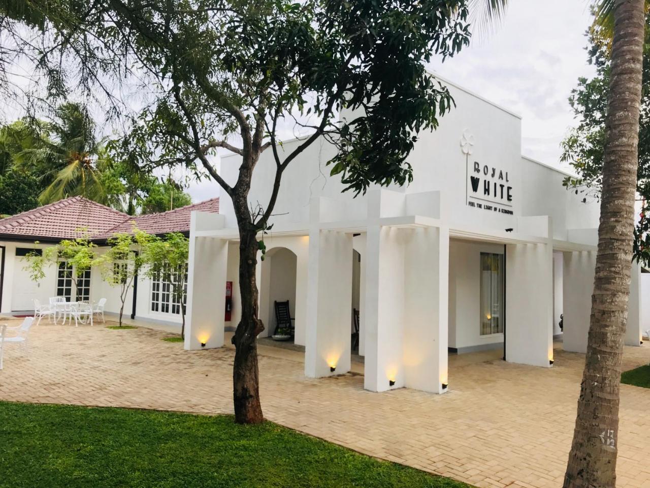 Royal White Tourist Rest Hotel Anuradhapura Buitenkant foto